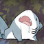 smol shark