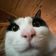 Canik