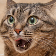 玉米棒还是我棒