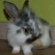 Oeroe - steam id 76561197964527787