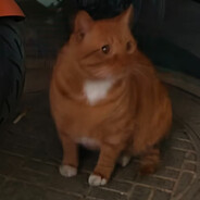 2776043810
