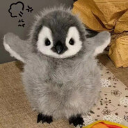 笨蛋不是那个洞啊