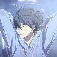 贩卖日落前的小猫