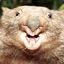 Wombat Adrian