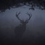 MurderCrow_666