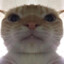 マテウシュ