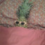 LostPineapple