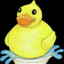 Wucky the Plucky Ducky