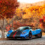 pagani enjoyer
