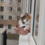 сильный