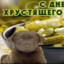 CAPYBARA_DIVER