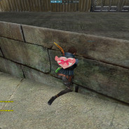 黑白梧桐树__没有影子