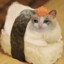 Sad Sushi Cat