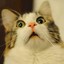 CatMan