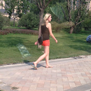 红鲤鱼与绿鲤鱼与驴