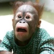 Usama bin fakjo - steam id 76561197965531575