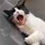 纷纭