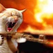 MulTyCol0r Pvpro.com