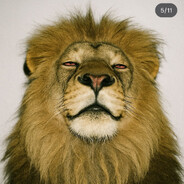 p0pirox ¯\_(ツ)_/¯ - steam id 76561199067537551