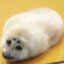 Master Dogway