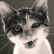 真弄你个Biang的