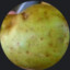 greenpotato
