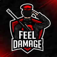 FeeLDaMaGe