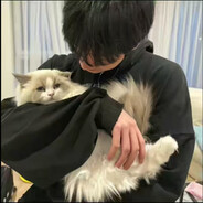独离雨