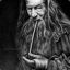 Reggae Gandalf
