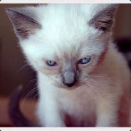 BasicLich - steam id 76561197963208762