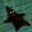 Blactrik Star