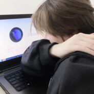 一天到晚红烧的鱼走猫哭