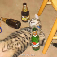 小昕别马枪了啊