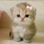 paulinka^^