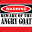 &gt;Angry Goat&lt;