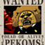 PEKOMS