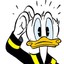BigDuck