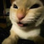 Devious creature