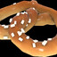 The Bread Maestro