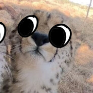 ᶜᵒʳᵒⁿᵃᵈᵒˢbb