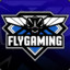 flygaming//GzR