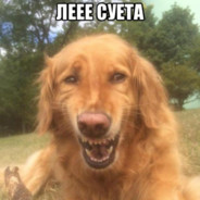 Суета....(dead inside)