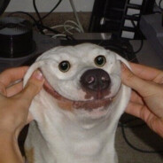 𝒜𝒾𝒽ℯ𝓆𝒾∳