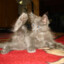 Andrey_Fe