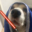 Darth Plinnie