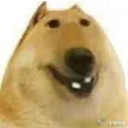 新世界的蔬菜大师