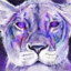 LavenderLion599