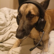 BYRK1N флоуmaster