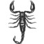 Scorpionight