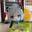 CreampiedMyLittleSisterTTV